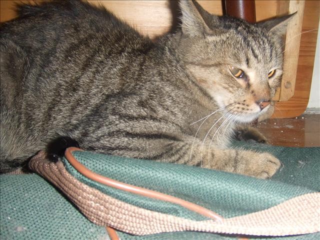 GOOD NEWS - 第2張圖