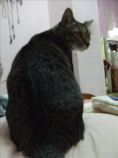 冬令進補 - 第4張圖