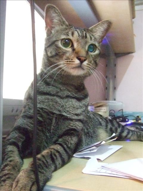 冬令進補 - 第5張圖