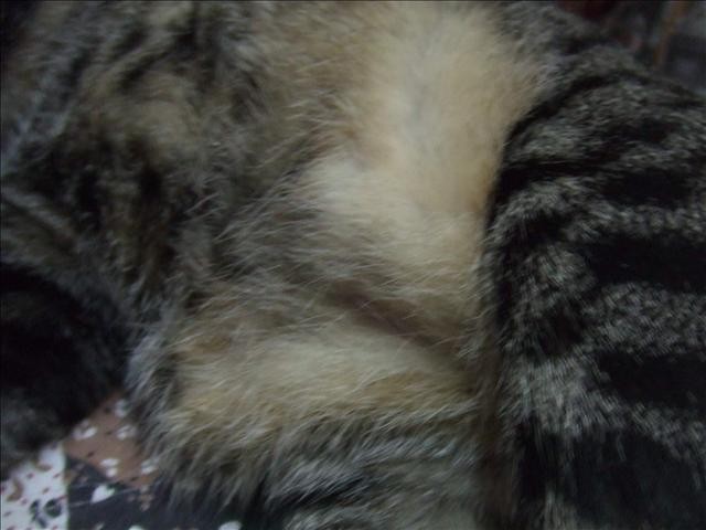 冬令進補 - 第6張圖