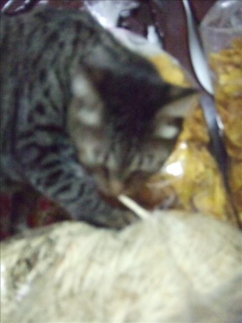 誘惑的源頭 - 第4張圖