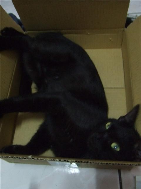 SASA最近愛? - 第3張圖