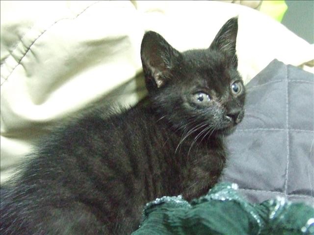 I WILL MISS U - 第2張圖