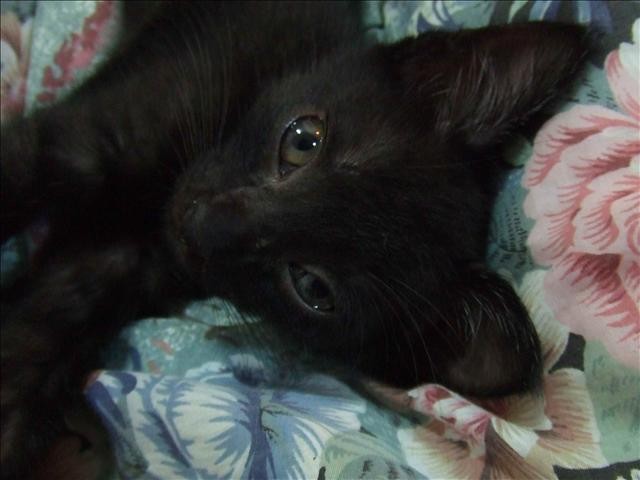 I WILL MISS U - 第3張圖