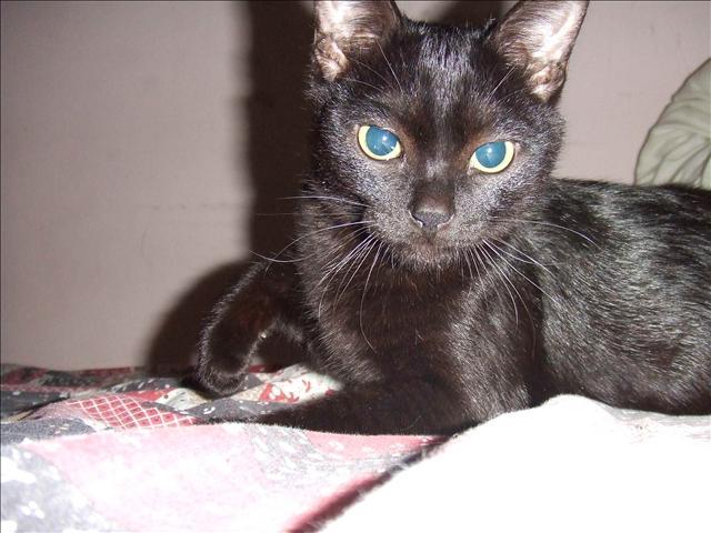 再來說說SASA - 第2張圖