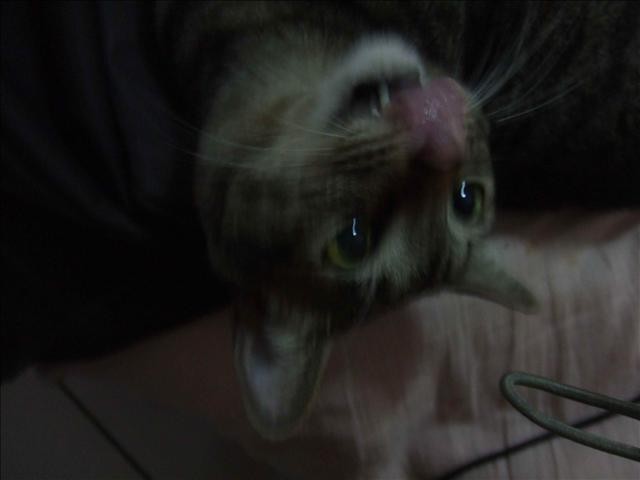 我的LOVER呆 - 第2張圖