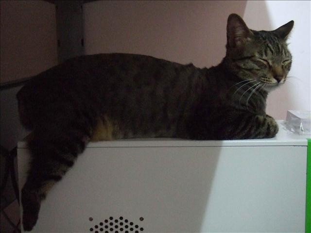 我的LOVER呆 - 第3張圖