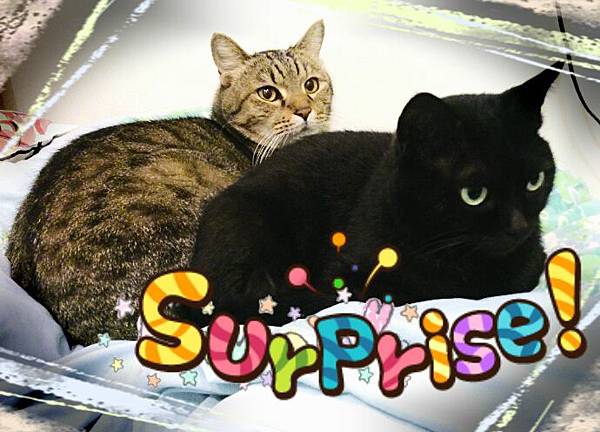 2014-01-01-02-27-17_deco 2014-01-01-02-27-17_deco