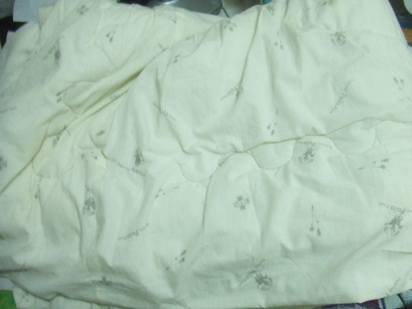 DSCF1640.JPG