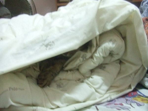 DSCF1637.JPG