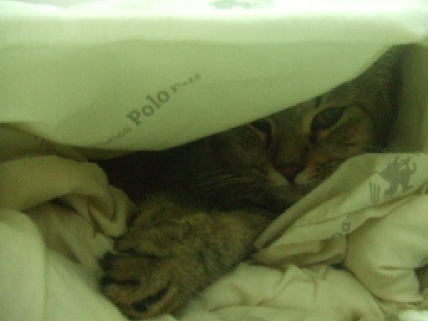 DSCF1634.JPG