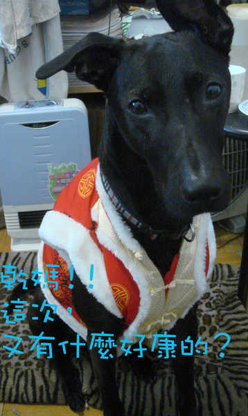 DSC02321拷貝.jpg