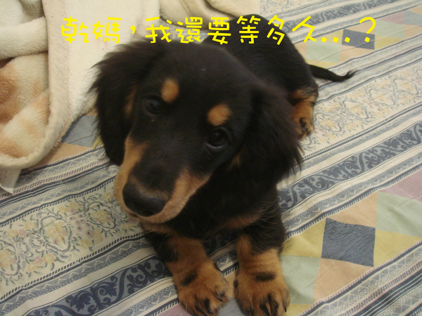 DSC02374拷貝.jpg