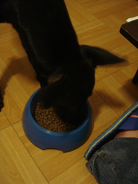 DSC02609.jpg