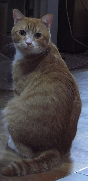 RIMG0576.jpg
