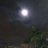 月圓之夜 