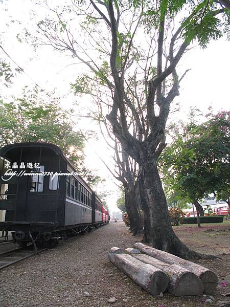 阿里山森林鐵路車庫園區-(9).JPG