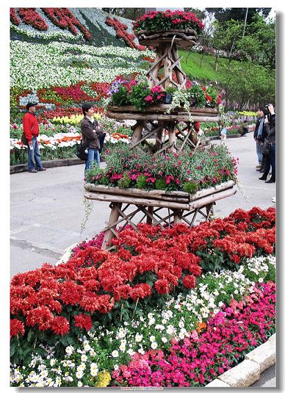 照片 281-1.jpg 照片 281-1.jpg