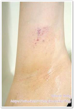 DSC01686 (Small).JPG 試用