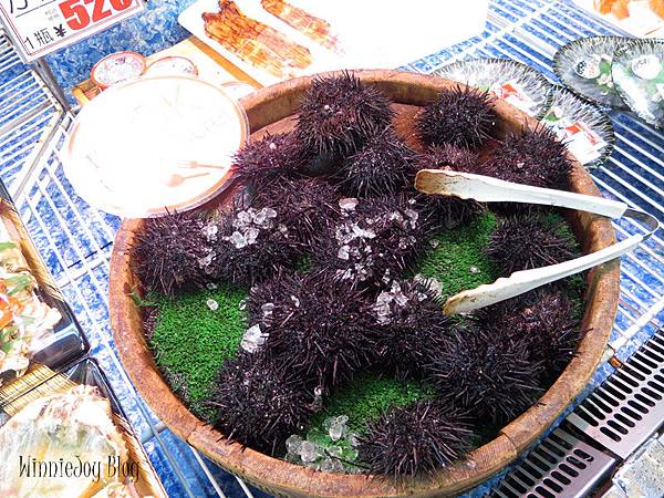 IMG_1925 IMG_1925
