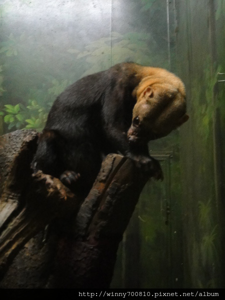 cm201109201d0078a3a5f8d57ed6035db3a2a572