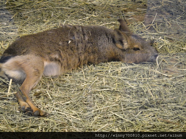 cm201109203ddc0c2f0758cbb3fb1b1945061c60