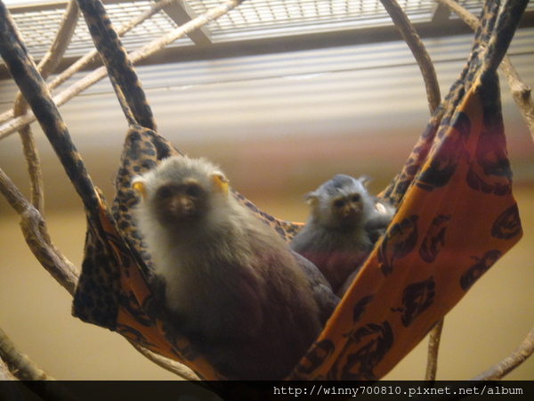 cm20110920fd56cba7b0460964df837fd7da86f0