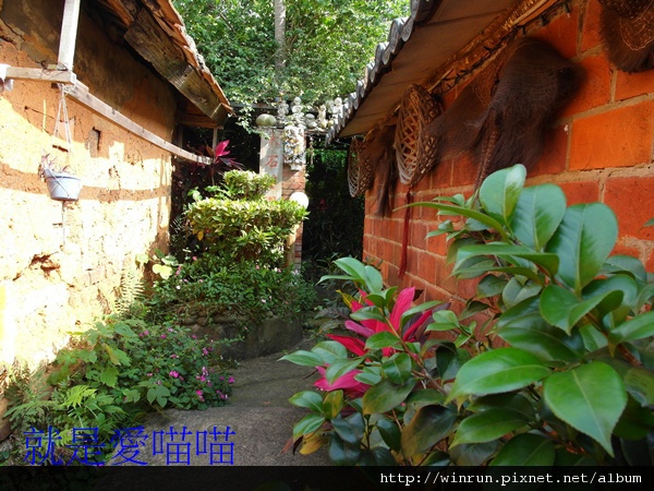 blog 20.JPG blog 20.JPG