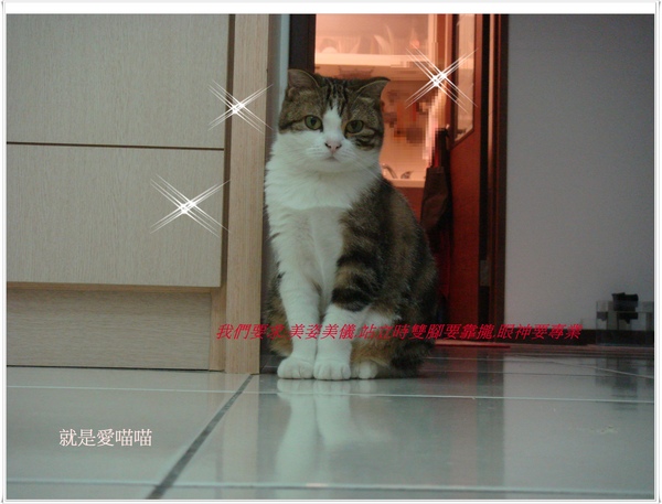 blog 豪邁的淑女2.JPG