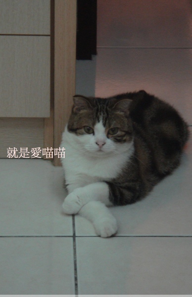 blog 豪邁的淑女3-crop.JPG