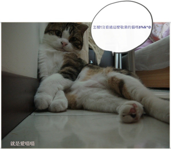 blog 豪邁的淑女4.JPG