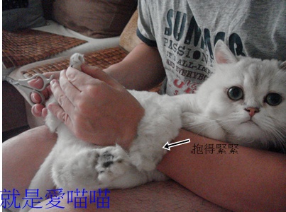 blog 3.JPG blog 3.JPG