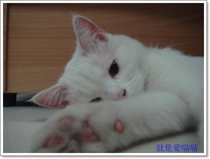 blog 2.JPG blog 2.JPG