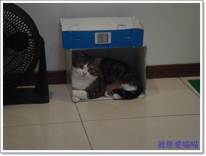 blog 3.JPG blog 3.JPG