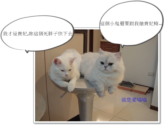 blog 5.JPG blog 5.JPG