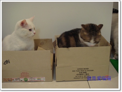 blog 7.JPG blog 7.JPG