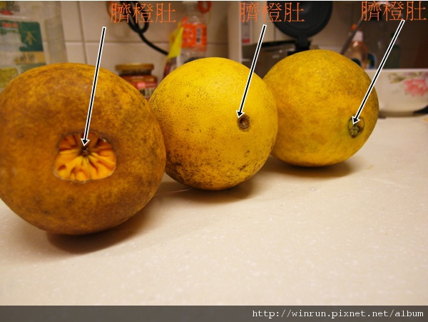 橙 2.JPG
