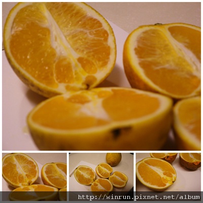 橙 4.jpg