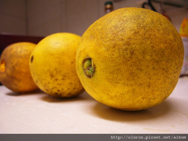橙 1.JPG