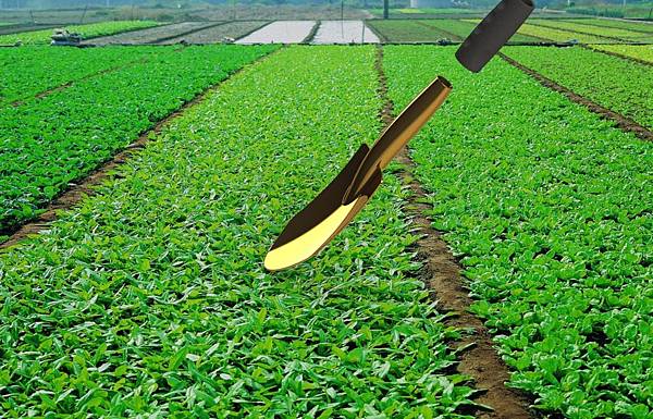 spade1221-asmexpolde