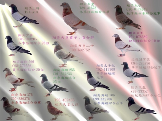 678s.jpg 678s.jpg