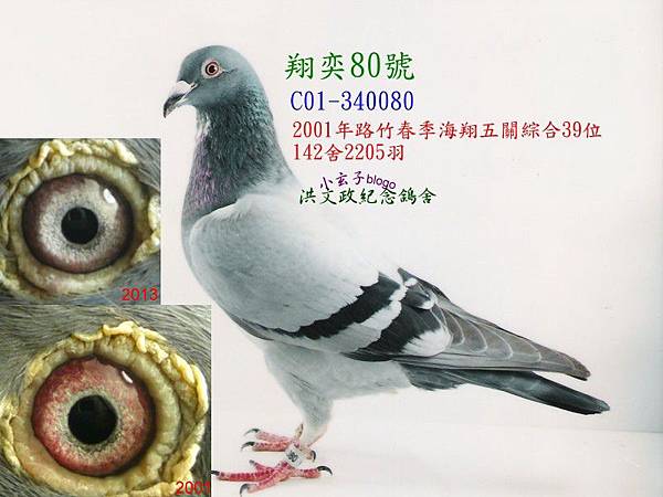 340080.jpg 340080.jpg