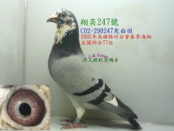 290247.jpg 290247.jpg