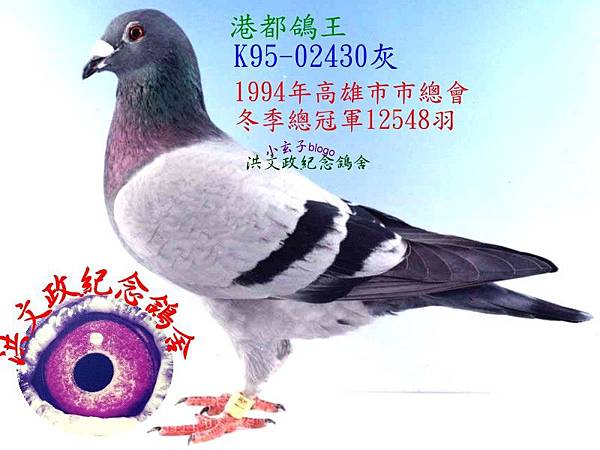 02430.jpg 02430.jpg