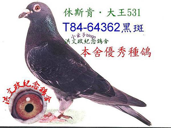 64362 64362