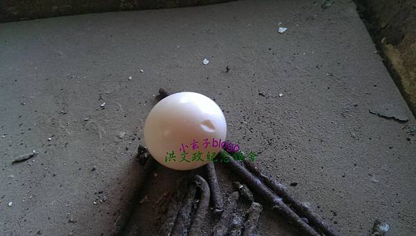IMAG3680 IMAG3680