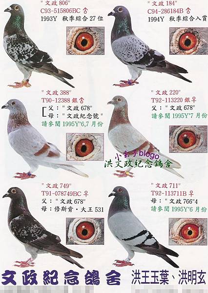 19951002.jpg 19951002.jpg