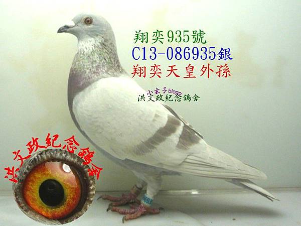 086935 086935