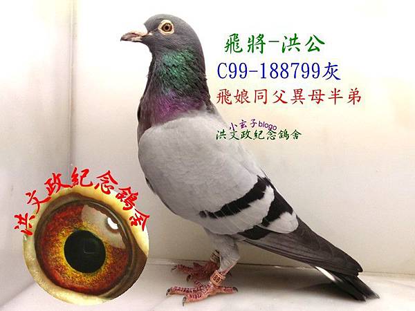 188799 188799