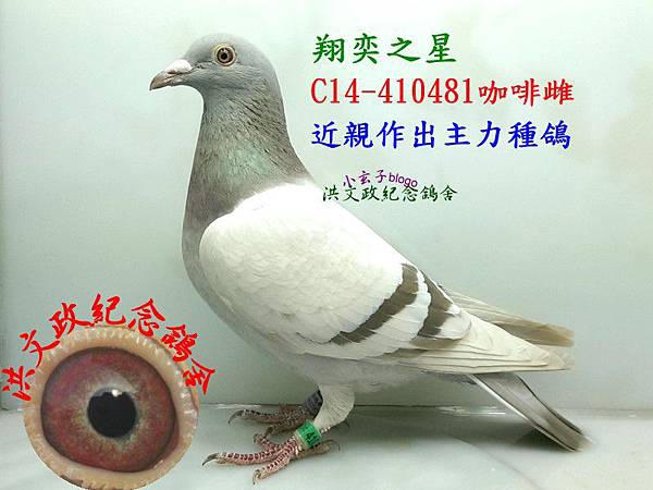 410481 (4) 410481 (4)